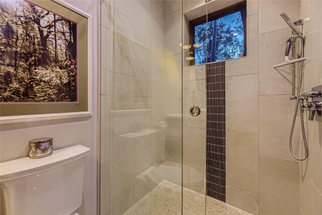 313 Raven Golf Ln, Silverthorne, CO 80498 - full bath with toilet and a tile shower