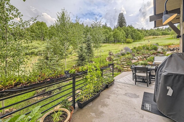 313 Raven Golf Ln, Silverthorne, CO 80498 - view of patio / terrace featuring grilling area and outdoor dining space