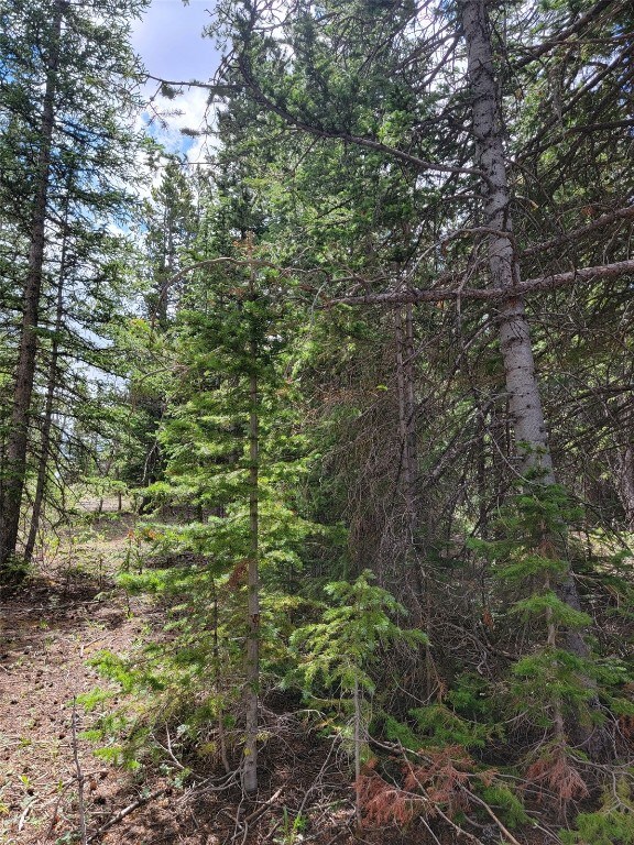 165 Silverheels Pl, Fairplay, CO 80440 - photo 8