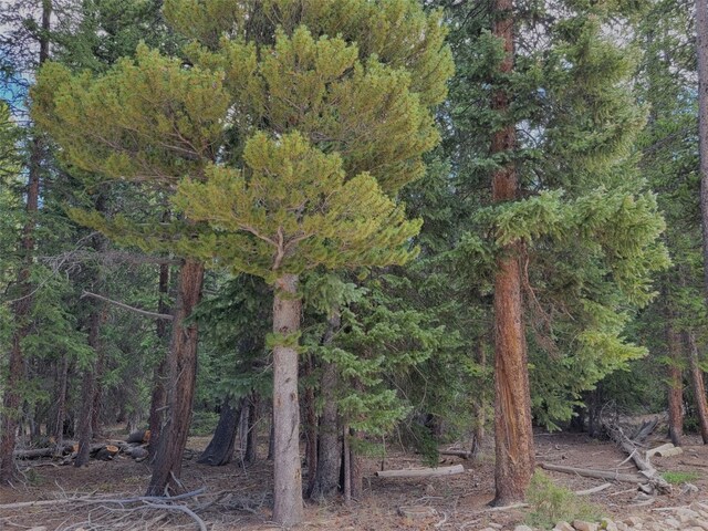 165 Silverheels Pl, Fairplay, CO 80440 - photo 7