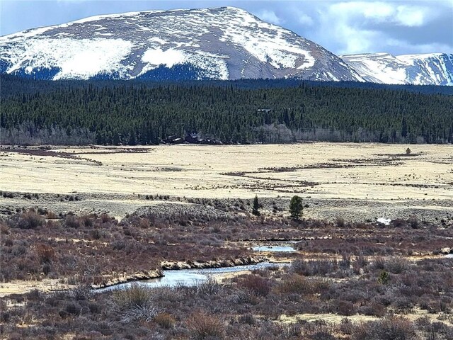 165 Silverheels Pl, Fairplay, CO 80440 - photo 3