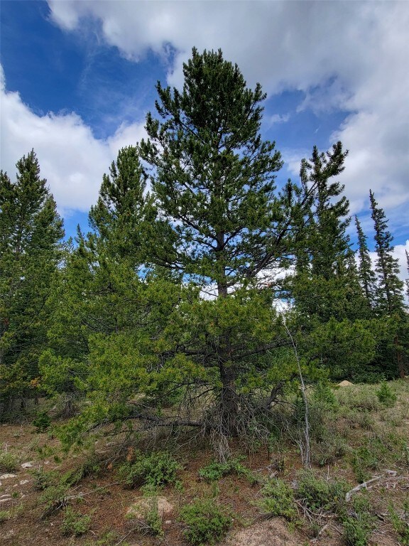 165 Silverheels Pl, Fairplay, CO 80440 - photo 6