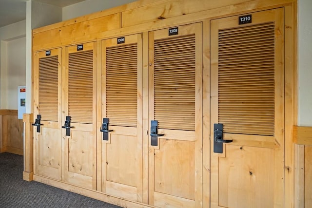 2800 Village Dr Unit 1302, Steamboat Springs, CO 80487 - detailed view of carpet