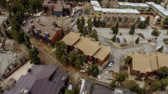 drone / aerial view