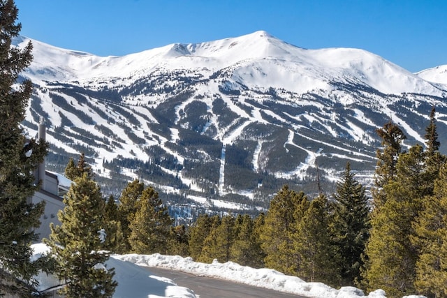 mountain view