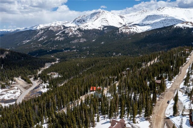 356 Hamilton Ln, Breckenridge, CO 80424
