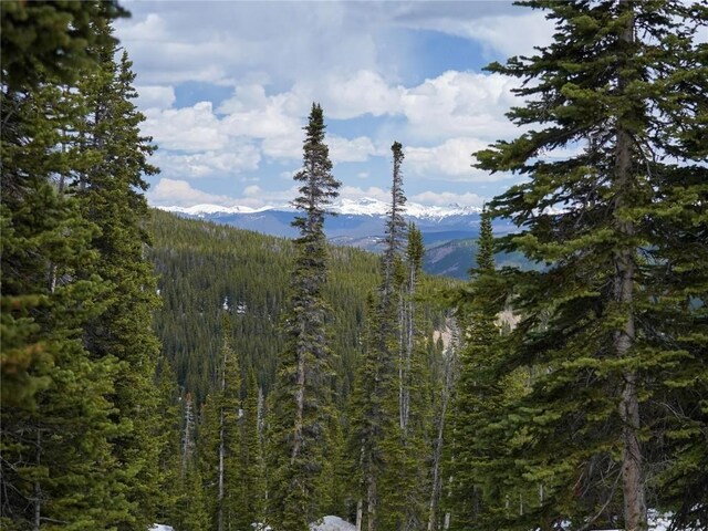 356 Hamilton Ln, Breckenridge, CO 80424
