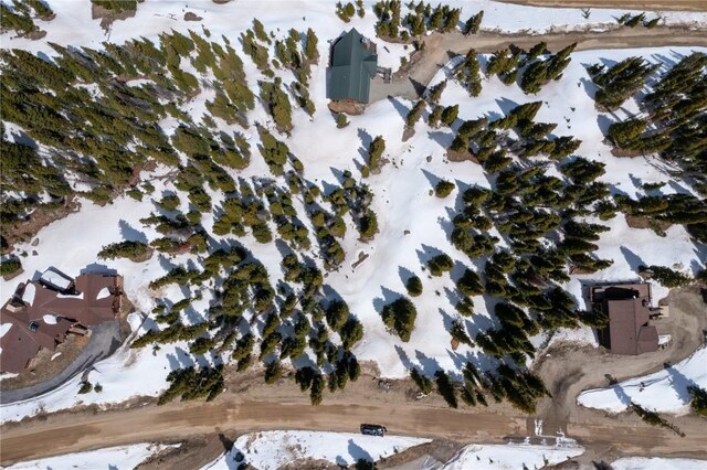 356 Hamilton Ln, Breckenridge, CO 80424