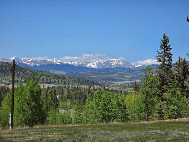 1435 E Longbow Dr, Como, CO 80432 - view of mountain background featuring a forest