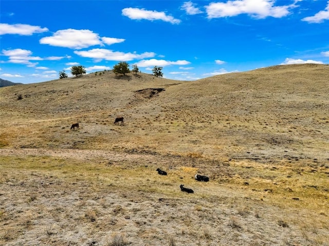 1868 Ute Trce, Hartsel, CO 80449