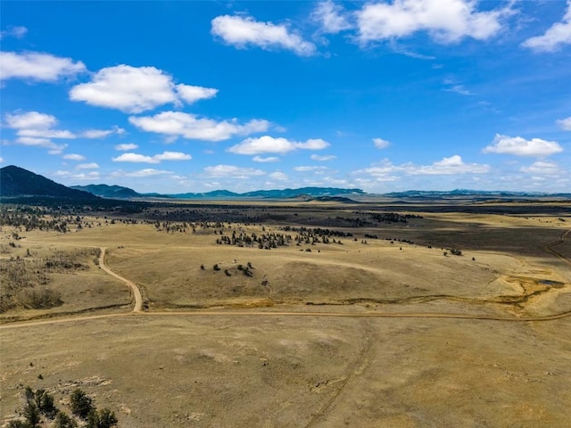 1868 Ute Trce, Hartsel, CO 80449