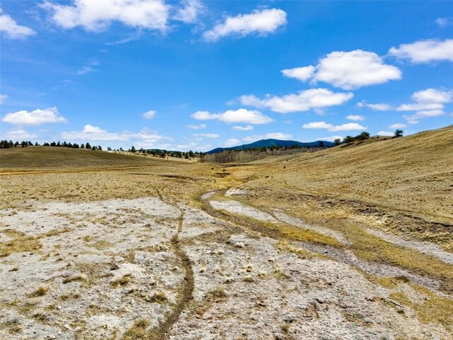 1868 Ute Trce, Hartsel, CO 80449
