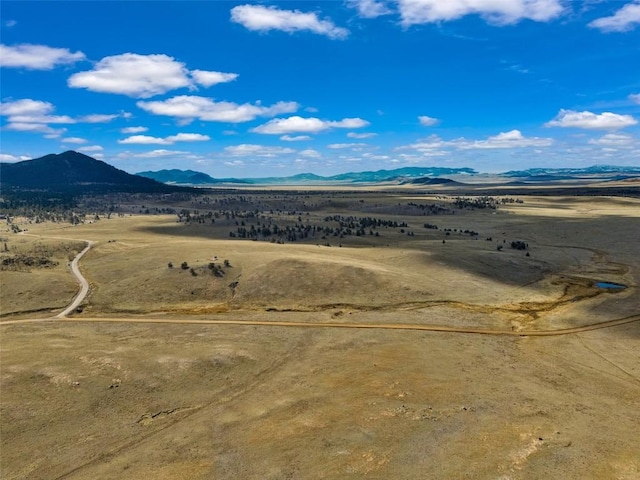 1868 Ute Trce, Hartsel, CO 80449