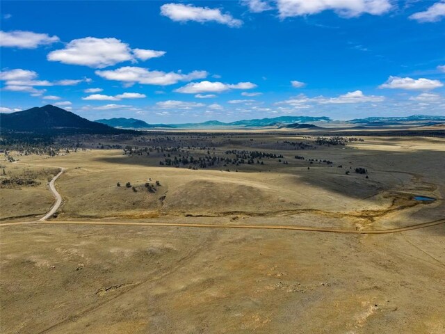 1868 Ute Trce, Hartsel, CO 80449