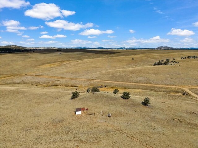 1868 Ute Trce, Hartsel, CO 80449