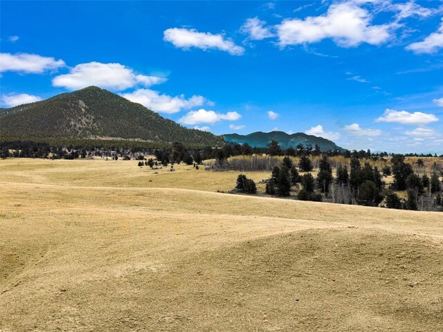 1868 Ute Trce, Hartsel, CO 80449