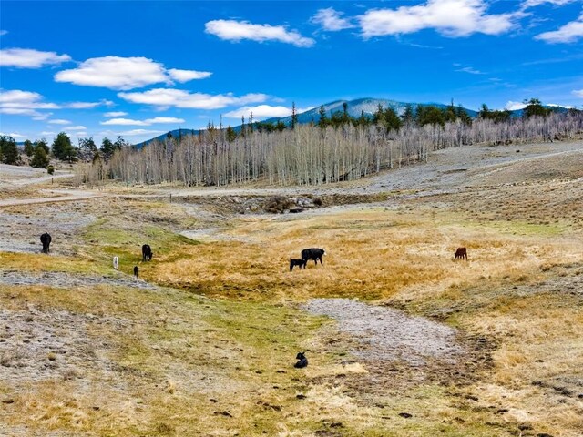 1868 Ute Trce, Hartsel, CO 80449