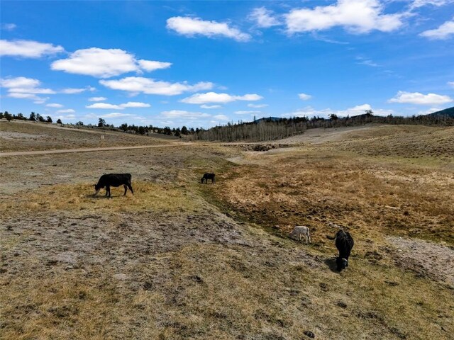 1868 Ute Trce, Hartsel, CO 80449
