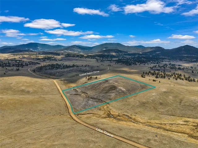 1868 Ute Trce, Hartsel, CO 80449