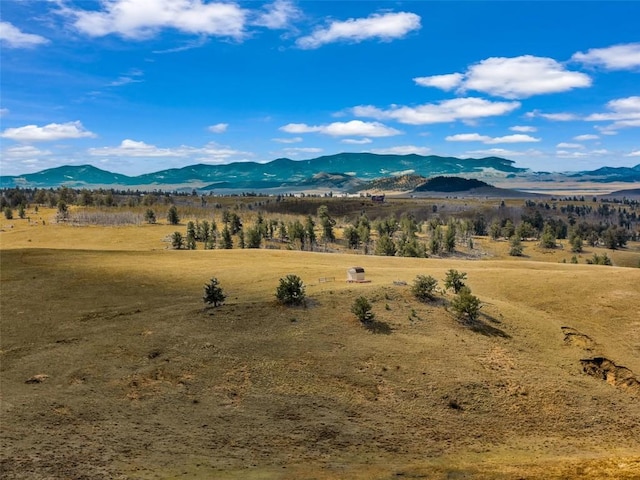 1868 Ute Trce, Hartsel, CO 80449