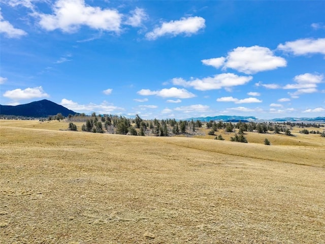 1868 Ute Trce, Hartsel, CO 80449