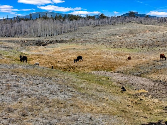 1868 Ute Trce, Hartsel, CO 80449