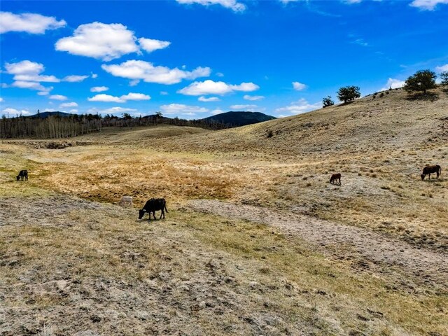 1868 Ute Trce, Hartsel, CO 80449