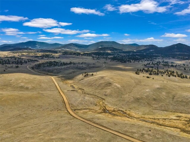 1868 Ute Trce, Hartsel, CO 80449