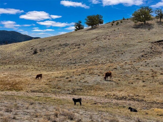 1868 Ute Trce, Hartsel, CO 80449