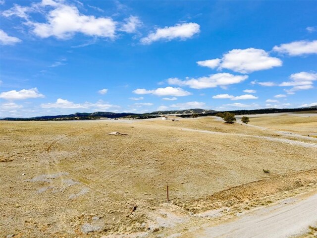 1868 Ute Trce, Hartsel, CO 80449
