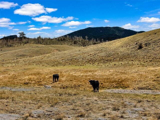 1868 Ute Trce, Hartsel, CO 80449