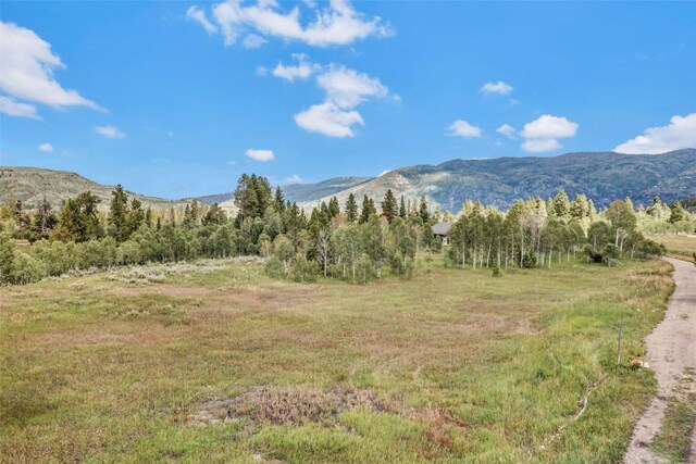 33190 Filly Trl, Oak Creek, CO 80467 - photo 13