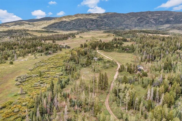 33190 Filly Trl, Oak Creek, CO 80467 - photo 28