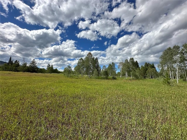 33190 Filly Trl, Oak Creek, CO 80467 - photo 7