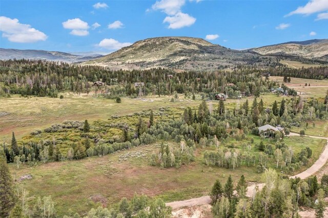 33190 Filly Trl, Oak Creek, CO 80467 - photo 14