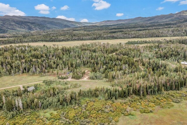 33190 Filly Trl, Oak Creek, CO 80467 - photo 25