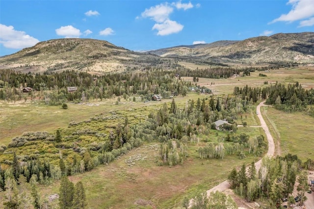 33190 Filly Trl, Oak Creek, CO 80467 - photo 2