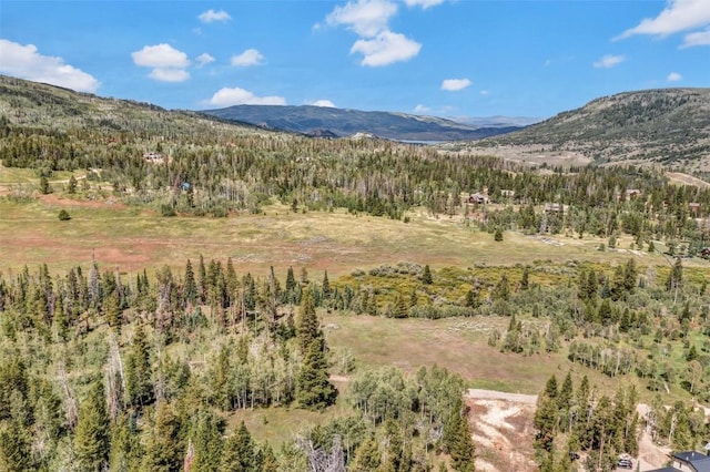 33190 Filly Trl, Oak Creek, CO 80467 - photo 17