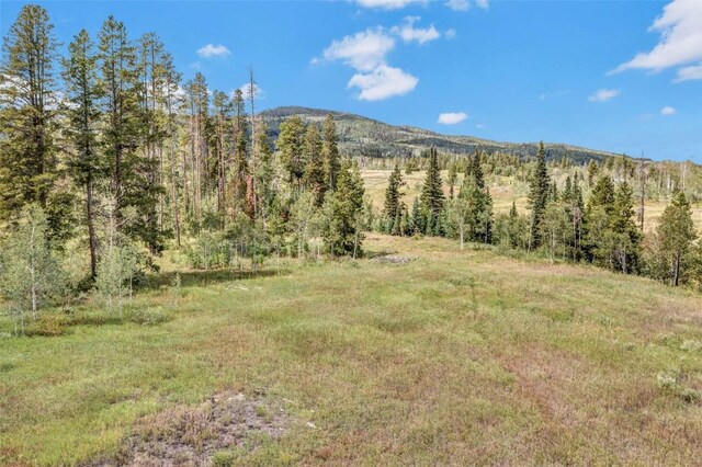 33190 Filly Trl, Oak Creek, CO 80467 - photo 12