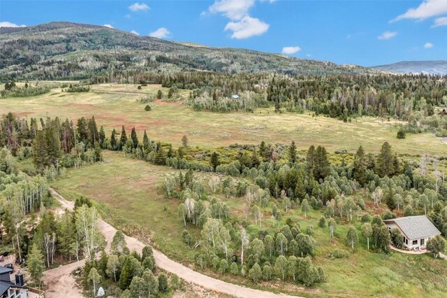 33190 Filly Trl, Oak Creek, CO 80467 - photo 15
