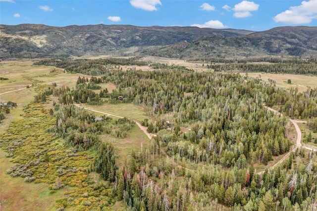33190 Filly Trl, Oak Creek, CO 80467 - photo 26