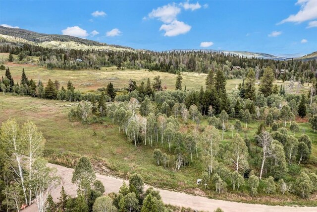 33190 Filly Trl, Oak Creek, CO 80467 - photo 23