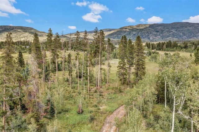 33190 Filly Trl, Oak Creek, CO 80467 - photo 22