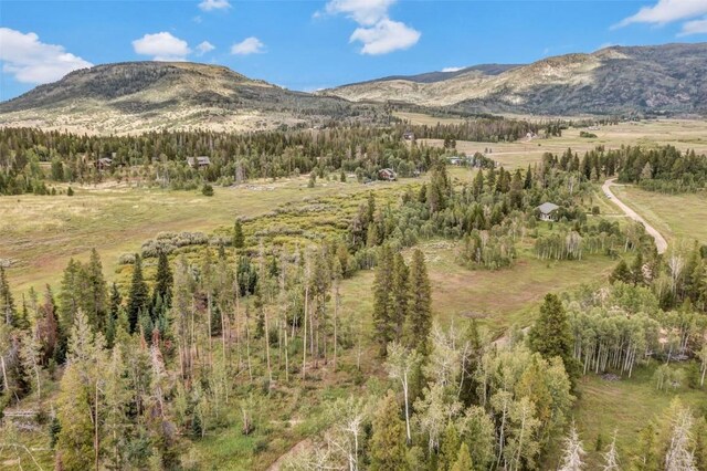 33190 Filly Trl, Oak Creek, CO 80467 - photo 29