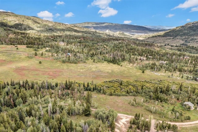 33190 Filly Trl, Oak Creek, CO 80467 - photo 19