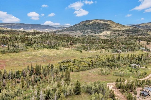 33190 Filly Trl, Oak Creek, CO 80467 - photo 18