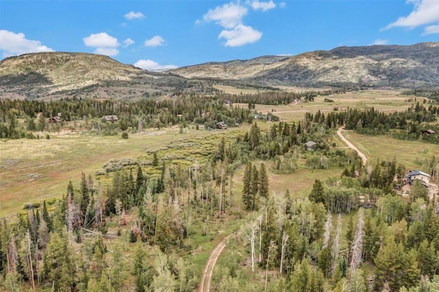 33190 Filly Trl, Oak Creek, CO 80467 - photo 20