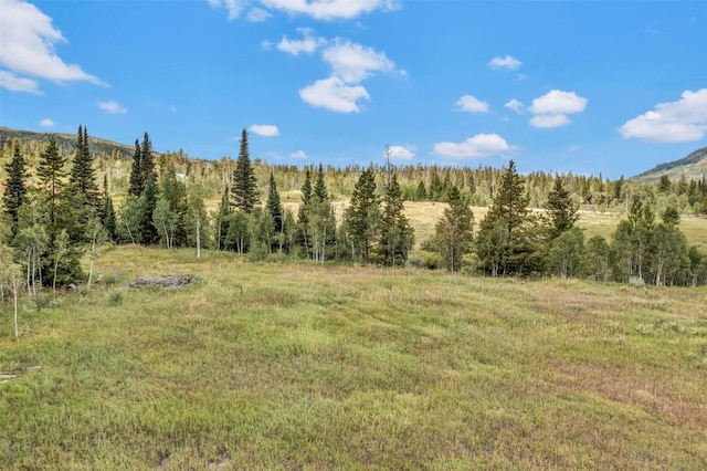 33190 Filly Trl, Oak Creek, CO 80467 - photo 11