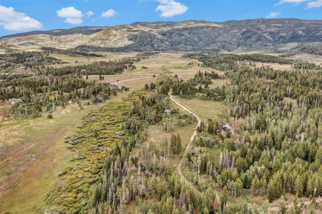 33190 Filly Trl, Oak Creek, CO 80467 - photo 27