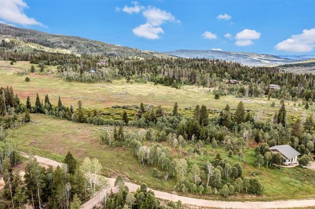 33190 Filly Trl, Oak Creek, CO 80467 - photo 16